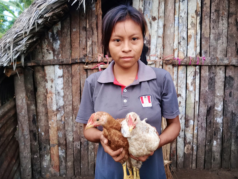 Chicken Project 2